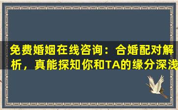  免费婚姻在线咨询：合婚配对解析，真能探知你和TA的缘分深浅吗